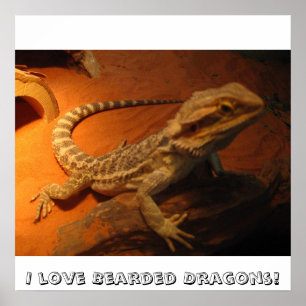 Poster J'adore les dragons barrés !