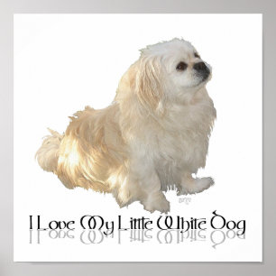 Poster J'adore mon petit chien blanc - Épagneul Pékinois 