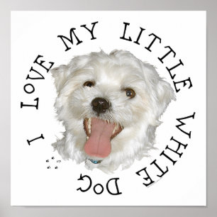 Poster J'adore mon petit chien blanc maltais