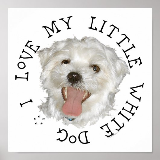Poster J'adore mon petit chien blanc maltais (Devant)