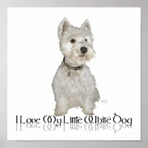 Poster J'adore mon petit chien blanc - Westie