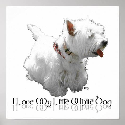Poster J'adore mon petit chien blanc - Westie (Devant)