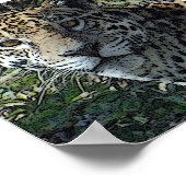 poster jag - Customisé (Coin)