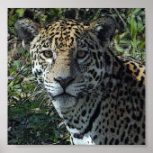 poster jag - Customisé (Devant)