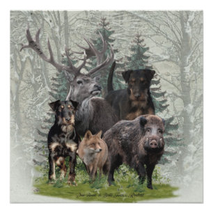 Poster Jagdterrier, Terrier de chasse allemand