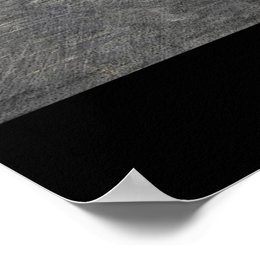 Poster Jagget XJS (Coin)