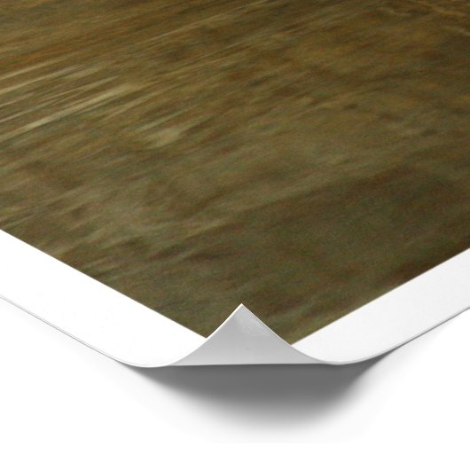 Poster Jaguar (Coin)