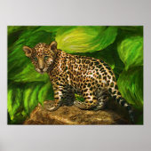 Poster jaguar (Devant)