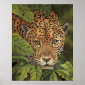 Poster Jaguar (Devant)