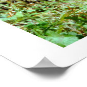 Poster Jaguar (Coin)