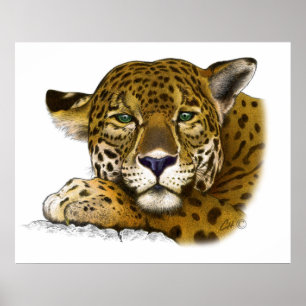 Poster Jaguar
