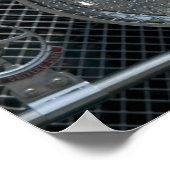 Poster jaguar antique (Coin)