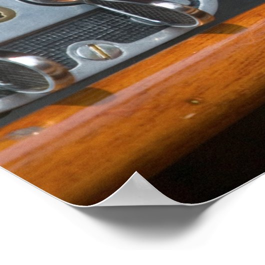 Poster jaguar antique 2 (Coin)