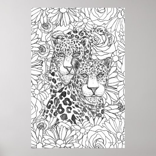 Poster Jaguar Caché (Devant)