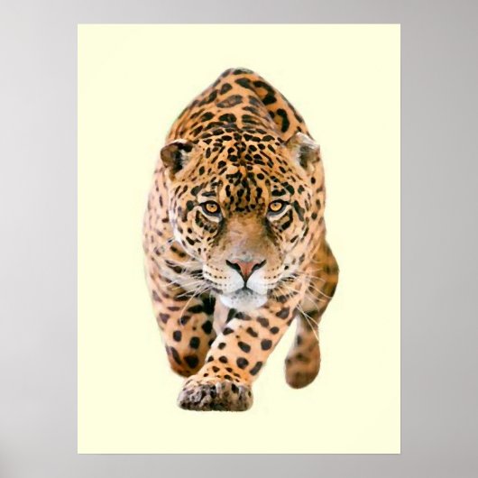 Poster Jaguar Eyes (Devant)