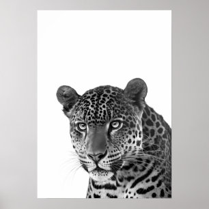Poster Jaguar Jungle Moderne Portrait noir blanc