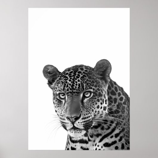 Poster Jaguar Jungle Moderne Portrait noir blanc (Devant)