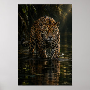 Poster Jaguar marchant à travers l'eau sombre de la jungl