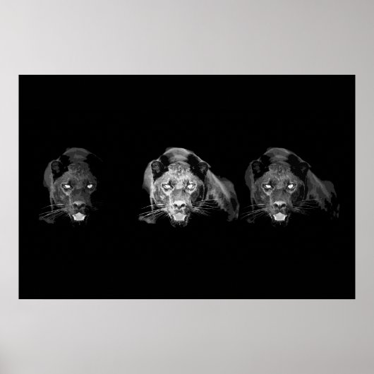 Poster Jaguar noir et blanc - Chats sauvages (Devant)