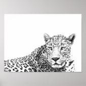 Poster Jaguar noir et blanc moderne 16x12 pouces (Devant)