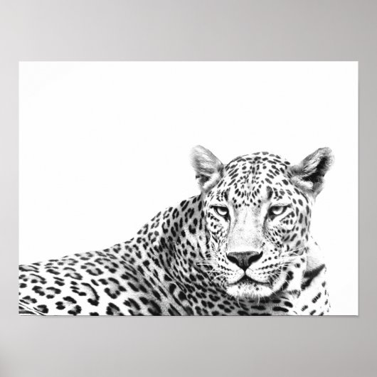 Poster Jaguar noir et blanc moderne 16x12 pouces (Devant)