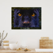 Poster JAGUAR NOIR ~ PANNEAU NOIR plus grand Art Imprimer (Cuisine)