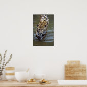 Poster Jaguar (Panthera onca) dans la rivière boueuse (Cuisine)