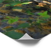 Poster jaguar vers le haut gros plan (Coin)