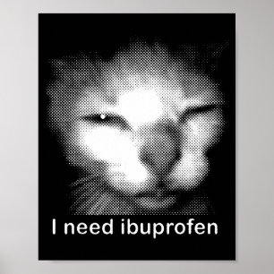 Poster J'ai besoin de l'Ibuprofène Chat Mème Drôle Silly