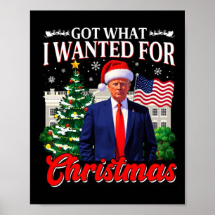 Poster J'ai ce que je Recherché pour Noël Donald Trump 47