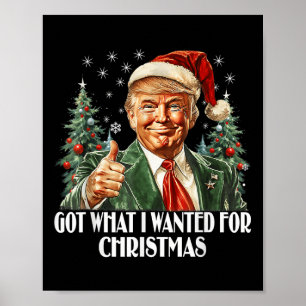 Poster J'Ai Ce Que Je Recherché Pour Noël - Trump Xmas