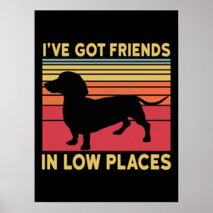 Poster J'ai des amis dans des endroits bas