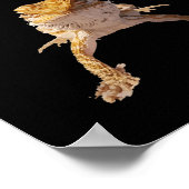 Poster J'ai des crickets, une chemise de dragon (Coin)