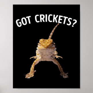 Poster J'ai des crickets, une chemise de dragon