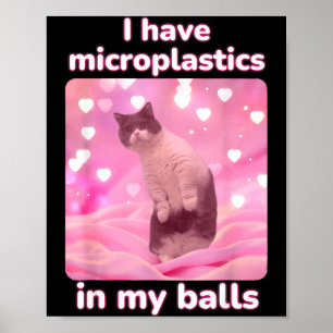 Poster J'ai des microplastiques dans mon chat rose Mème d