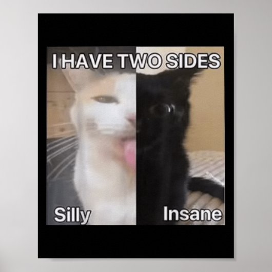 Poster J'Ai Deux Côtés Silly Drôle Chat Drôle Pour Les Ho (Devant)