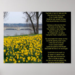 POSTER J'AI ERRÉ SEUL COMME NUAGE