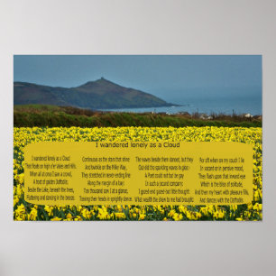 POSTER J'AI ERRÉ SEUL COMME NUAGE