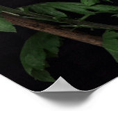 Poster J'ai été crucifié avec le Christ (Coin)