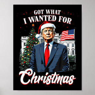 Poster J'ai eu ce que je voulais pour Noël Trump