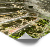 Poster J'ai les yeux sur toi ! (Coin)