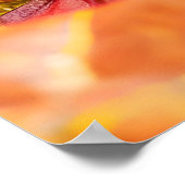 Poster J'Ai senti L'Escargot Crawau-Dessus Du Champignons (Coin)