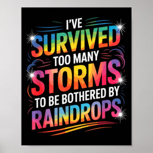 Poster J'ai survécu à de nombreuses tempêtes, motivation
