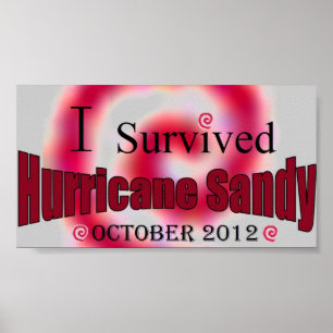 Poster J'ai survécu à l'affiche de Sandy d'ouragan