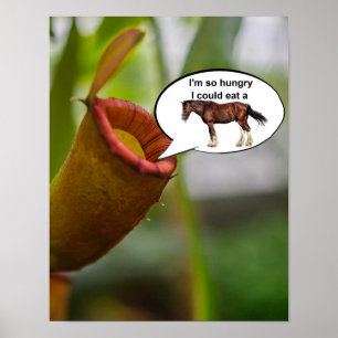 Poster J'ai tellement faim que je pourrais manger un chev