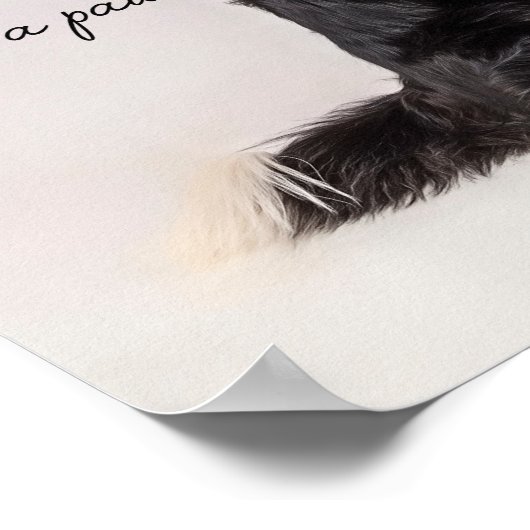 Poster J'ai trouvé une paw (Coin)