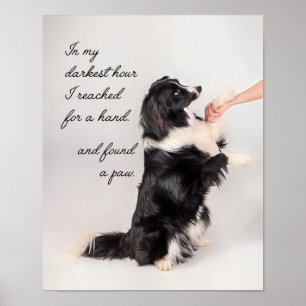 Poster J'ai trouvé une paw