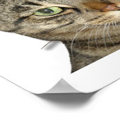 Poster J'ai un problème de capacité ! (Coin)