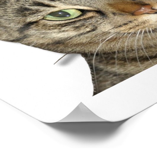 Poster J'ai un problème de capacité ! (Coin)