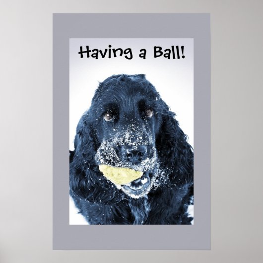 Poster J'ai une balle ! (Devant)